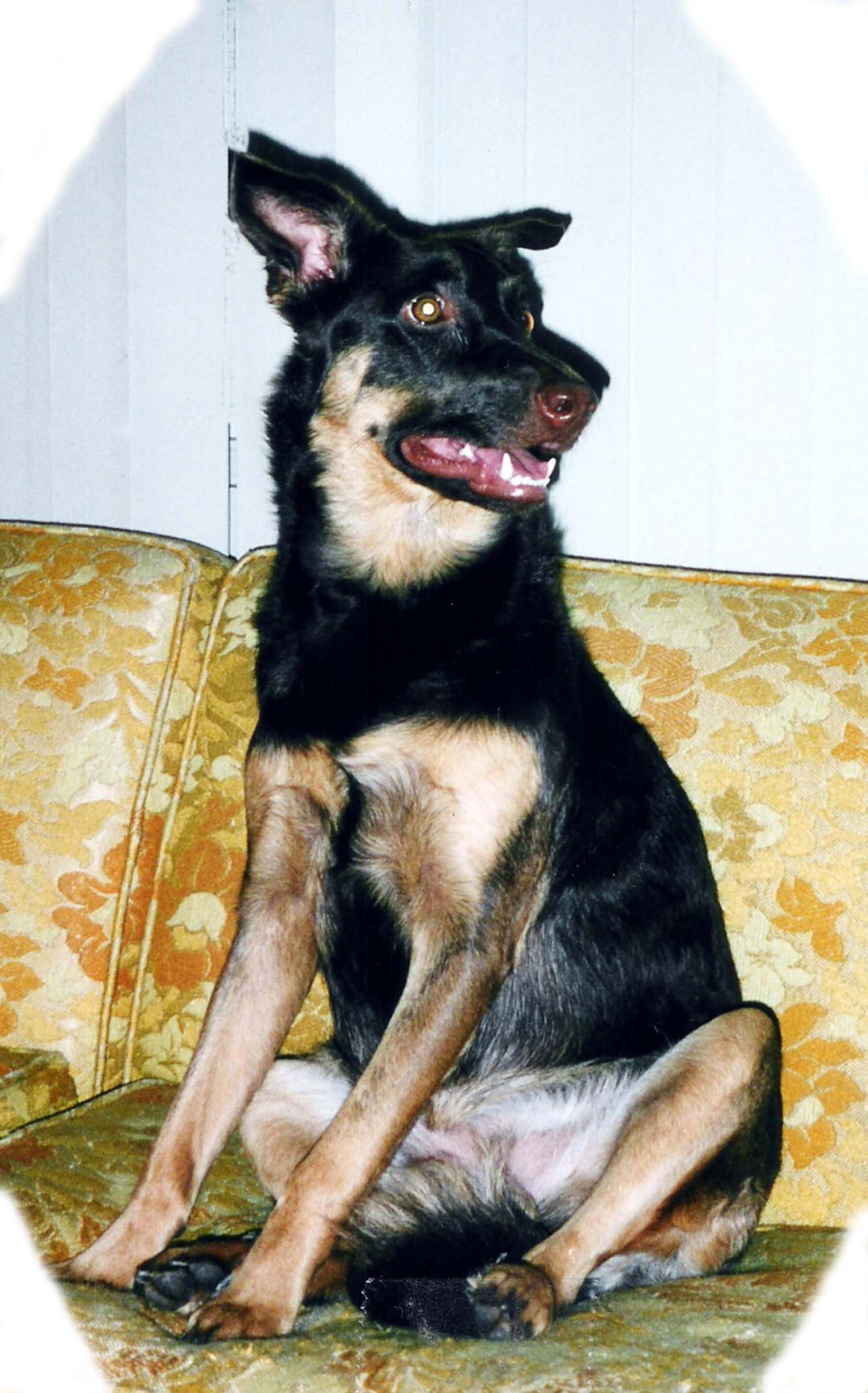 kona.jpg (33990 bytes)